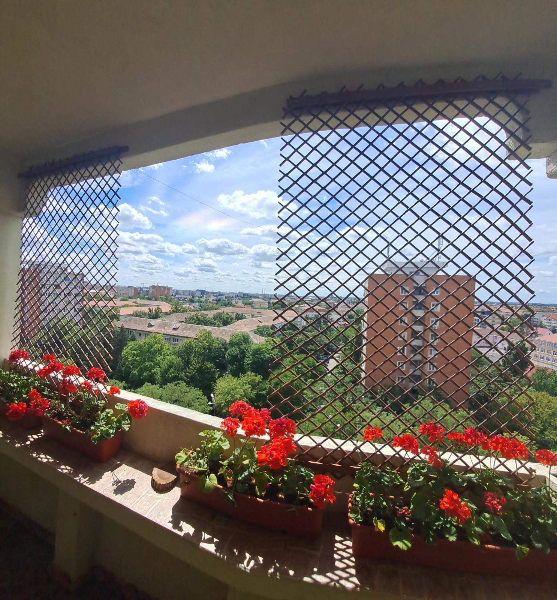 Happy Station Apartment Timisoara Bilik gambar